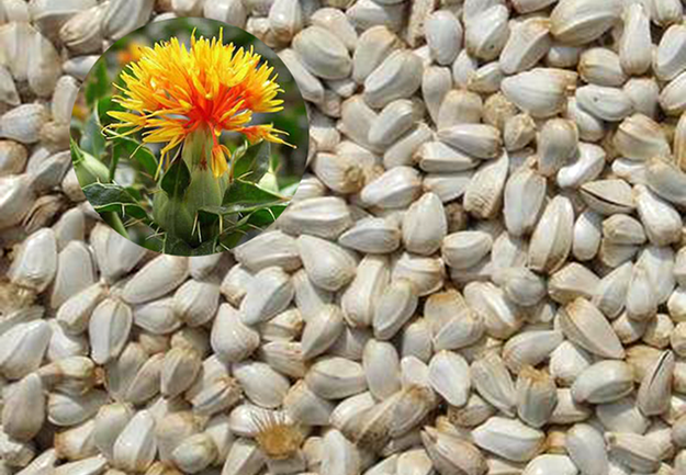 Huatai safflower seed pretreatment solution