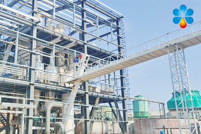 Bolivia Soybean Pretreatment Extraction and Refining Project