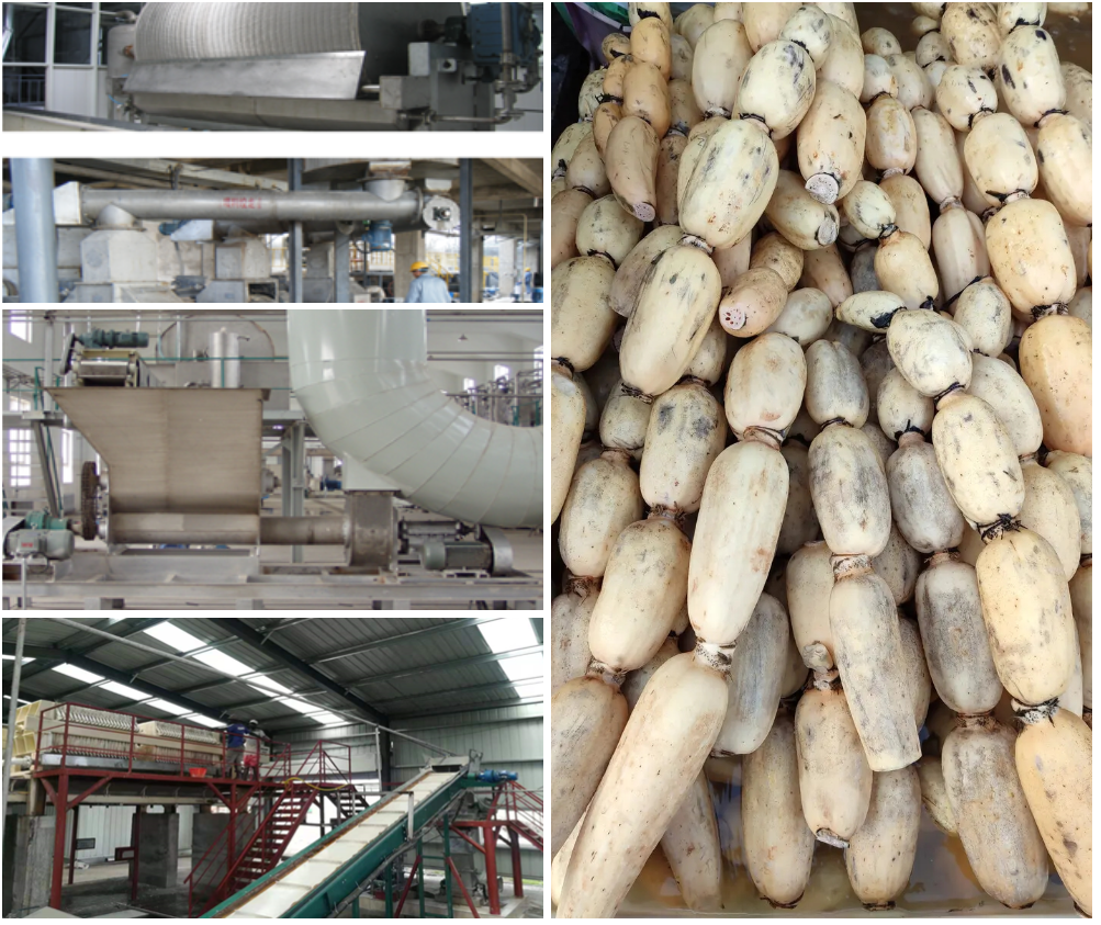 Lotus root starch production equipment