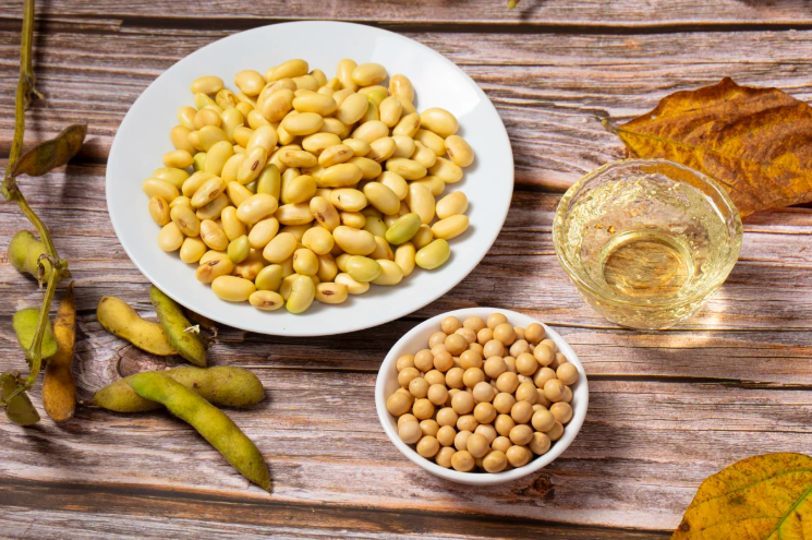 100TPD Soybean Oil Extraction Plant in Togo