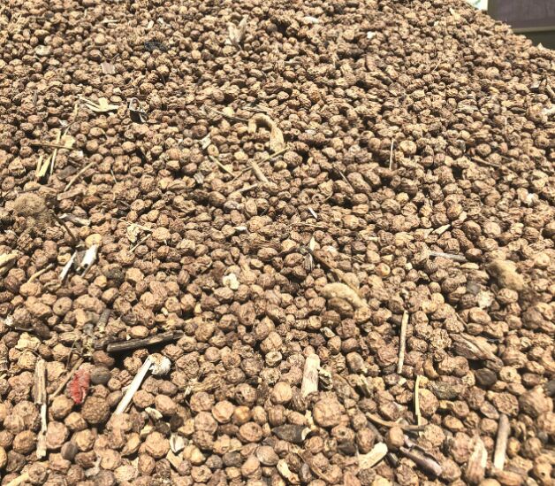 Cold Extracion of Tigernut Oil (Sub-critical Extraction)