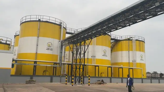 100 T/D palm oil refining and fractionation in Congo