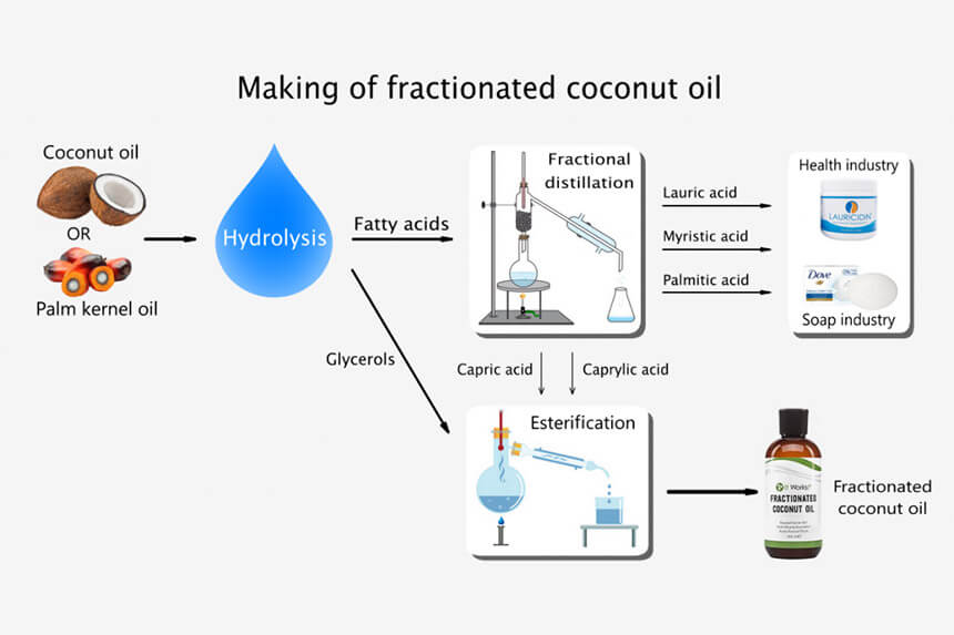 Coconut Oil Fractionation Process | Step by Step Guide
