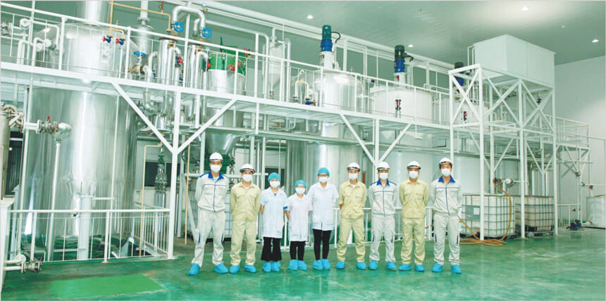 Coconut oil processing steps flow