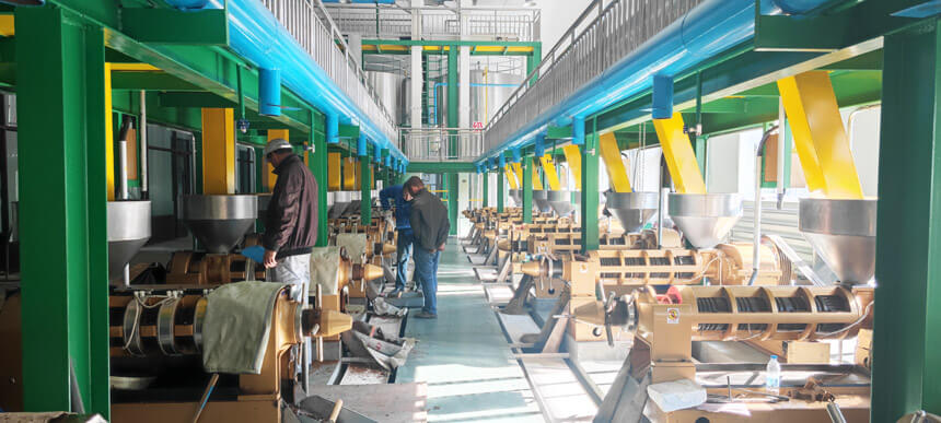 Cold pressed coconut oil extraction machine