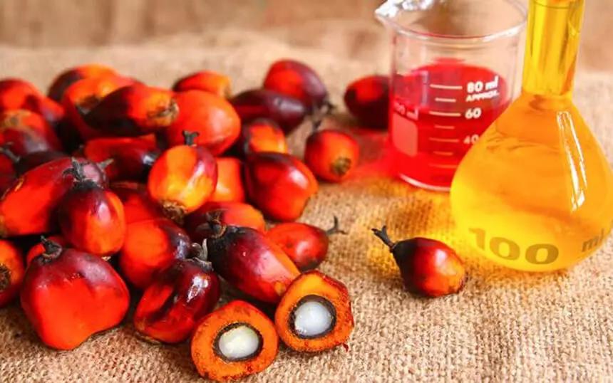 Difference between crude palm oil and refined palm oil