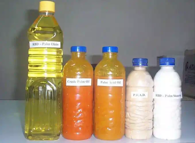 Difference between palm oil and palm olein