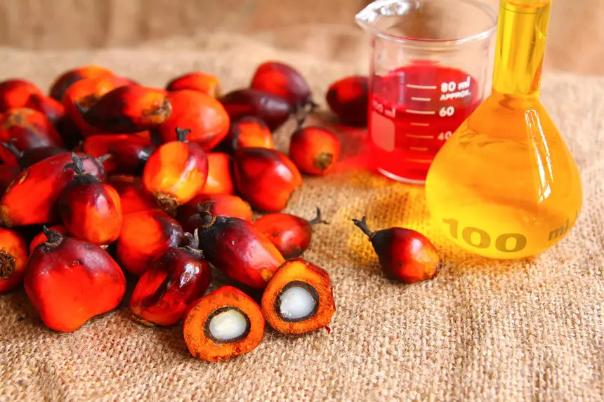 Difference between RBD palm oil and palm olein