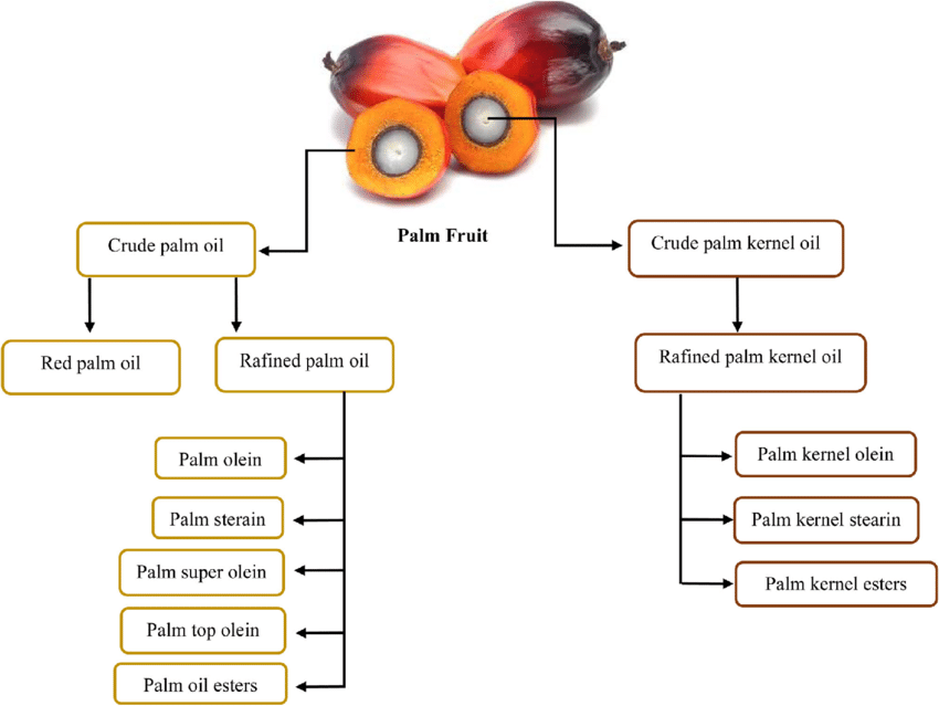 Fractionated palm kernel oil