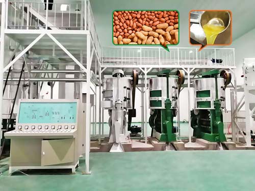 Huatai's Advanced Peanut Oil Pretreatment Machine: From Raw Peanuts to High-Quality Oil