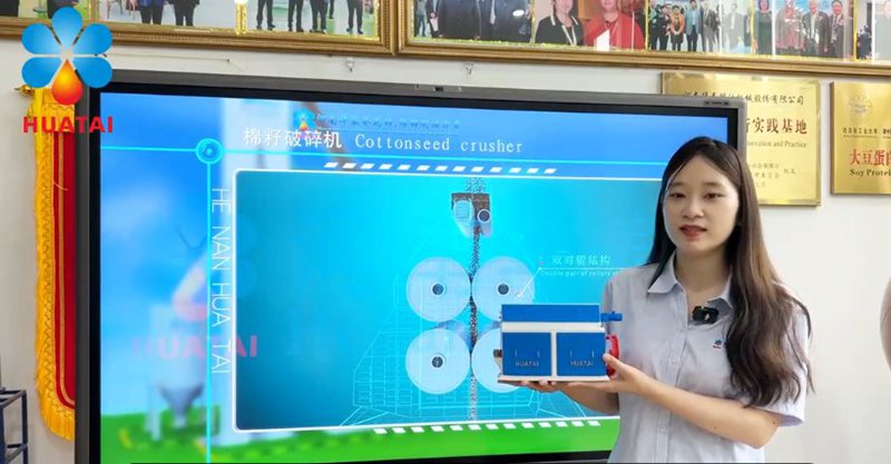 Advanced Pretreatment and Pressing Technology for Sunflower and Cottonseed Oil Production
