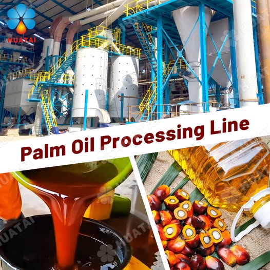 Characteristics of the Palm Oil Production Process