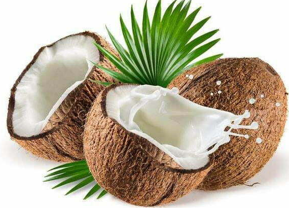 Complete coconut oil processing line 