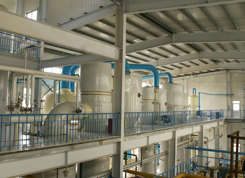 Sesame Oil Processing Plant Solutions
