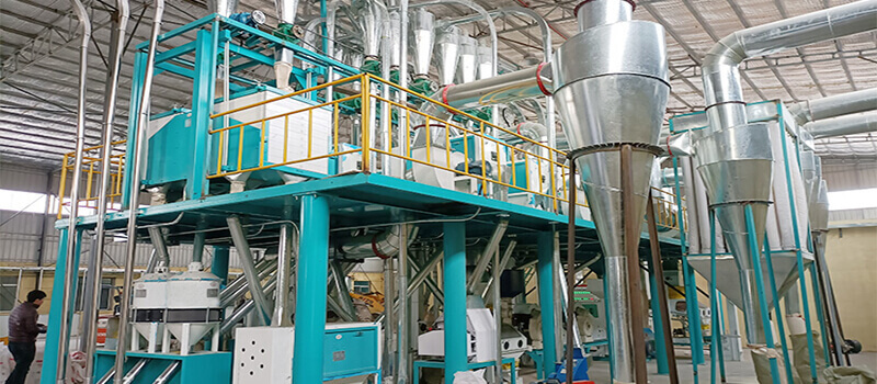 Corn flour process, wheat flour process, corn starch process