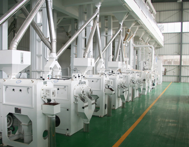 How to Set Up Rice Milling Project?