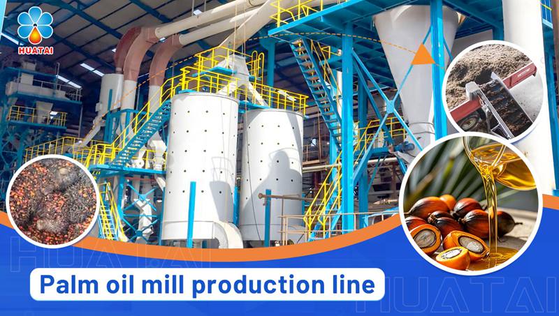 Huatai Group: Advanced Edible Oil Processing Solutions for Global Markets