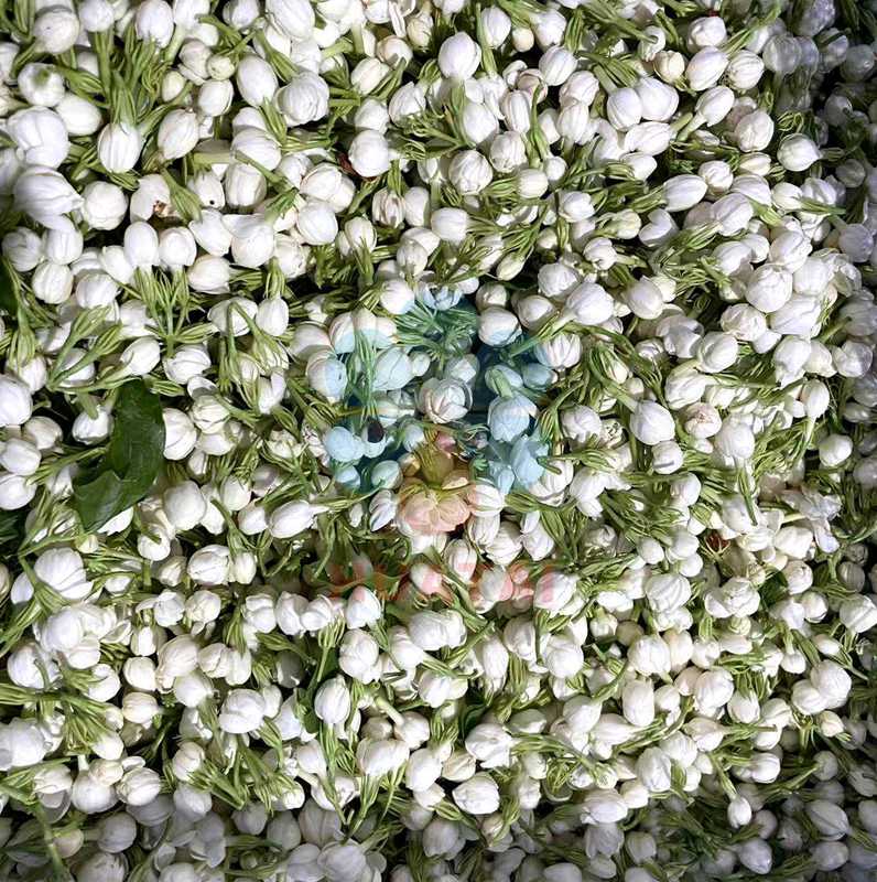 Essential Oil Extraction Process