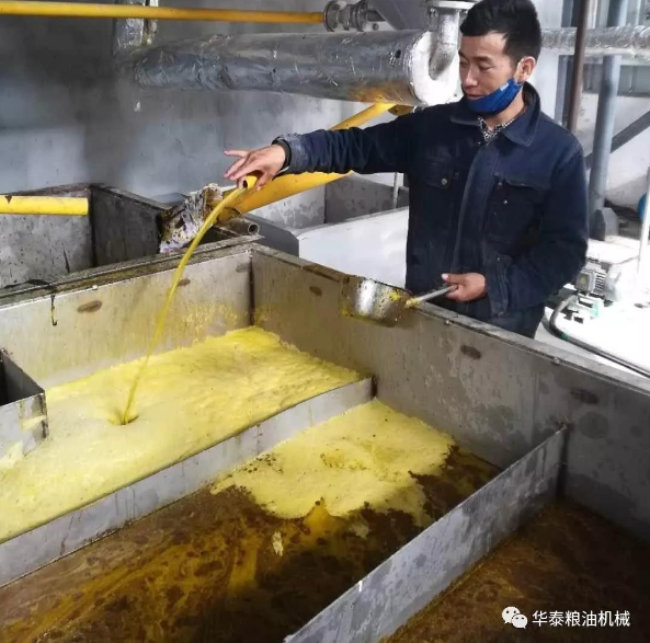 Rapeseed Oil Production Line for Sale