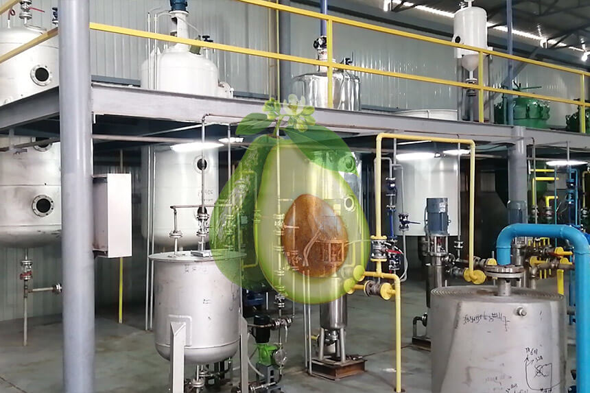 10-3000TPD Avocado Oil Processing Plant