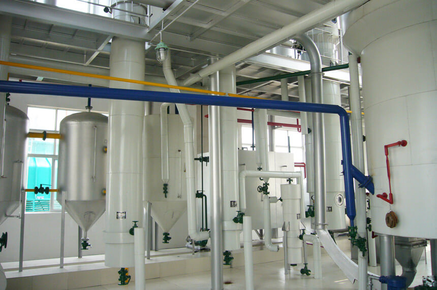 Avocado oil solvent extraction plant