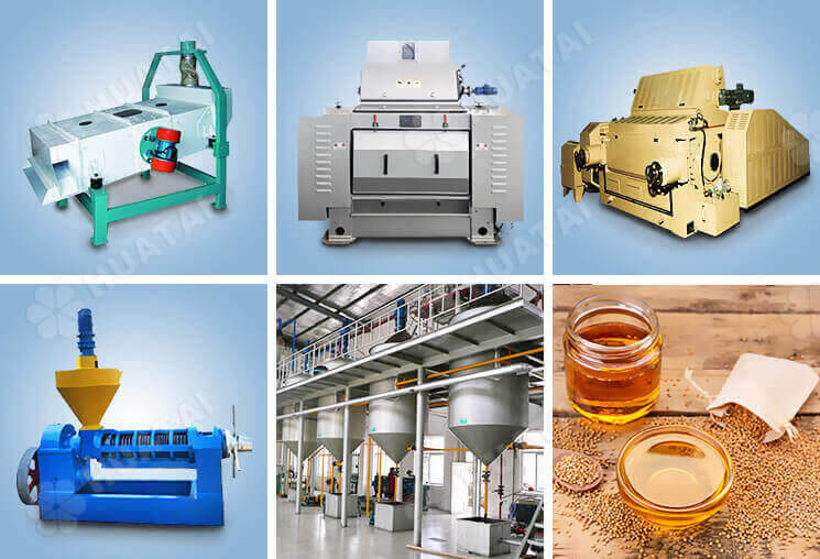 Canola oil production process