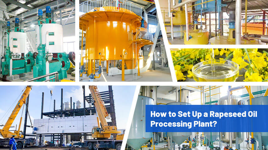 How to set up canola oil processing plant