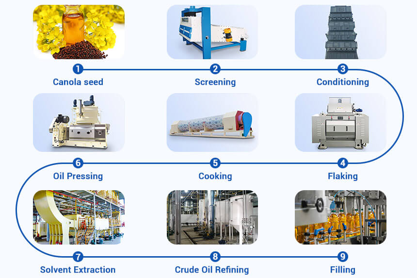 9 steps of canola oil manufacturing process