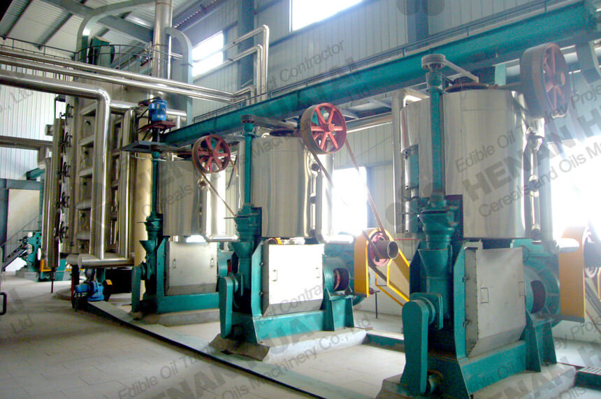 Cold pressed avocado oil extraction machine