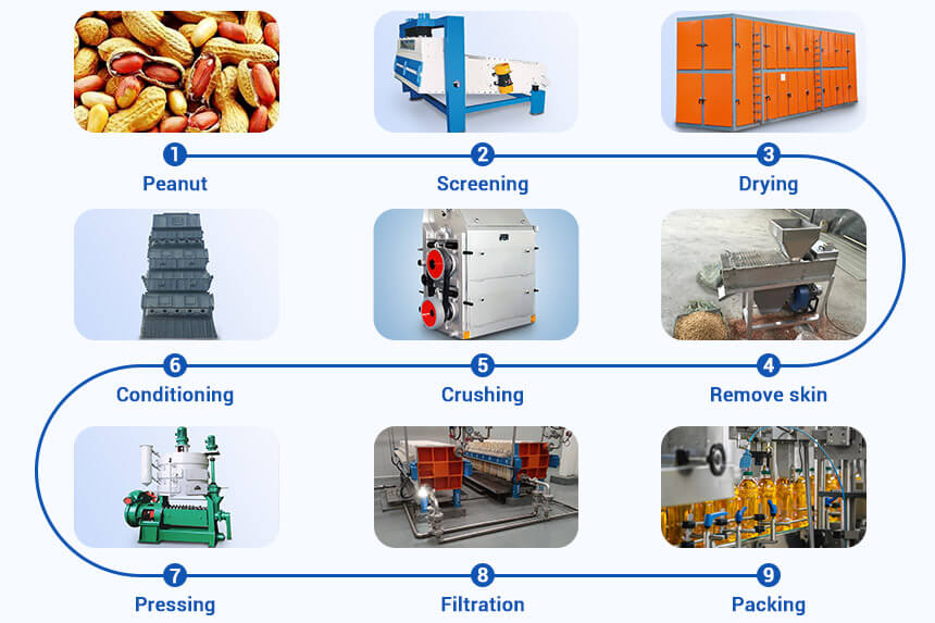 Cold Pressed Peanut Oil: Process, Machine & Price
