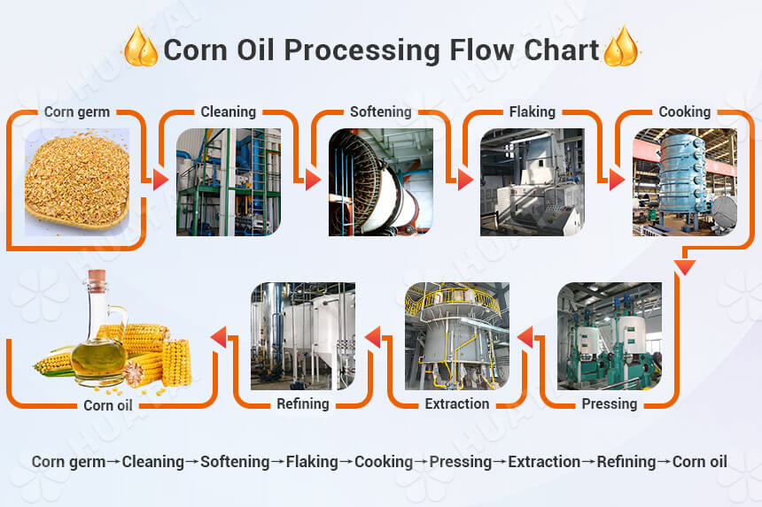 Corn Oil Processing Plant | Corn Germ Oil Extraction Process