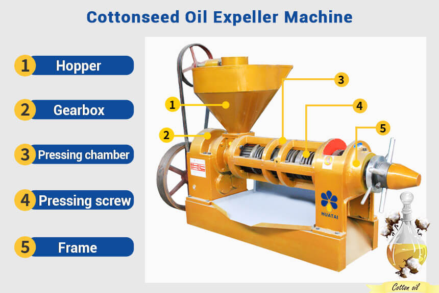 Cottonseed oil expeller machine for sale