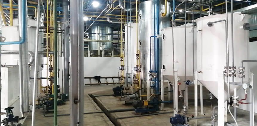 Cottonseed oil fractionation process