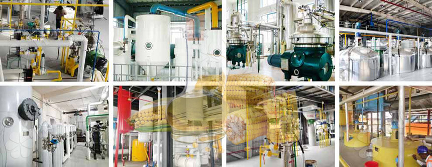 Large scale corn oil refinery plant project