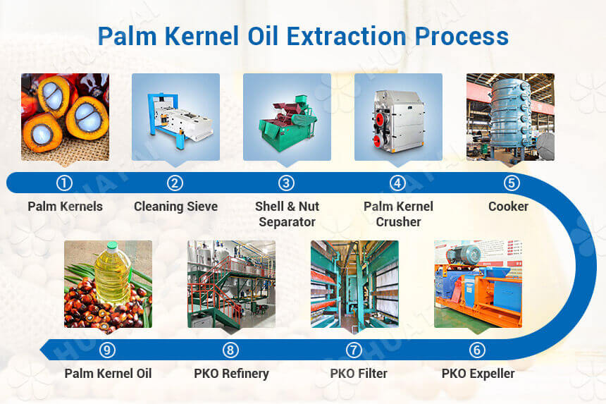 Machine used in palm kernel oil extraction process