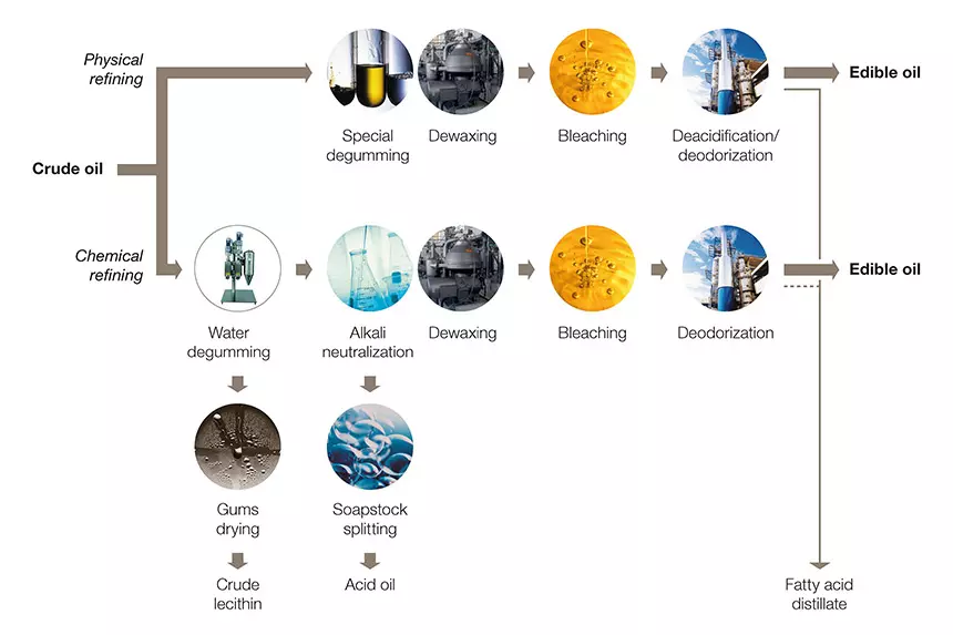 Olive Oil Refining Process, Machine & Cost