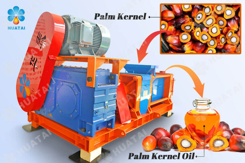 Palm Kernel Oil Processing Machine for Sale in 2026
