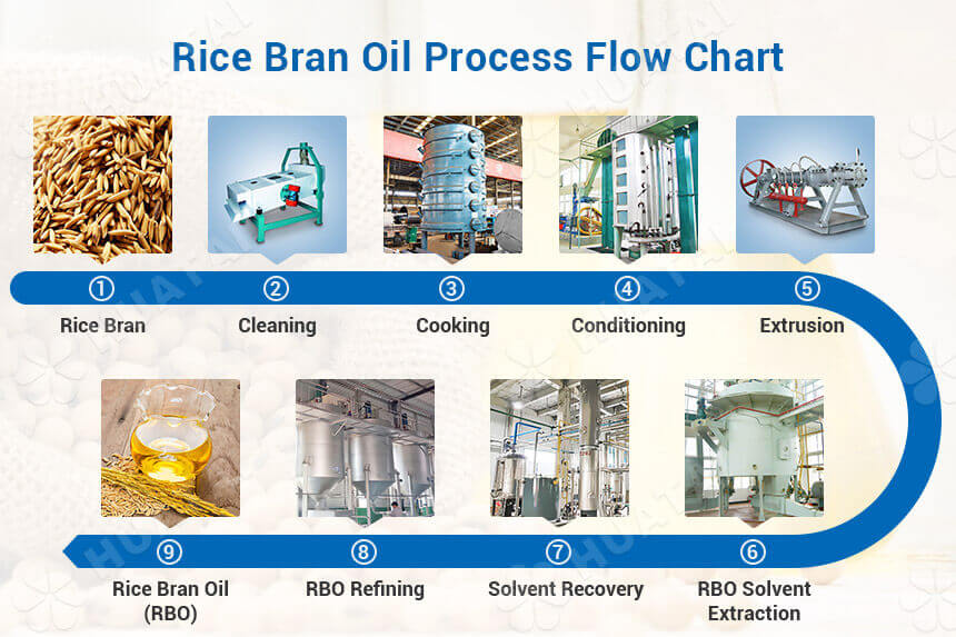 7 Steps Rice Bran Oil Extraction Process (with Flow Chart)