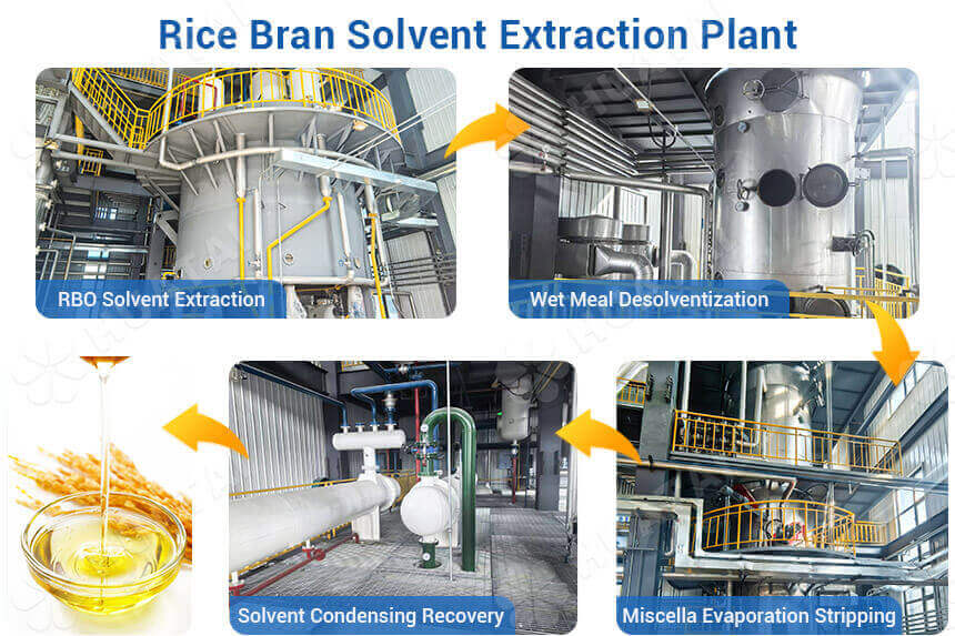 Rice Bran Oil Solvent Extraction Plant (5 Steps Guide)