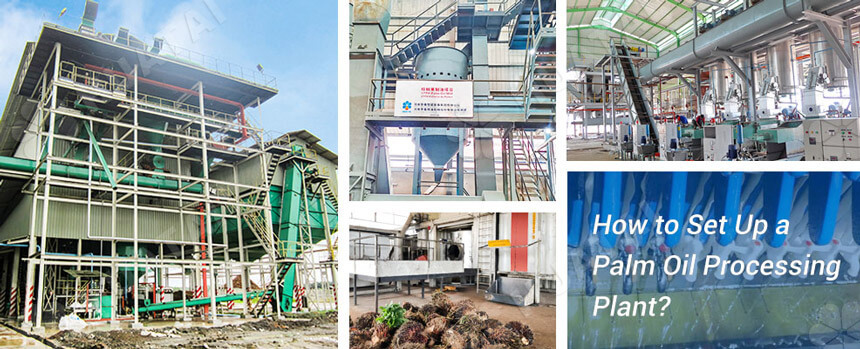 Setting up palm oil processing plant