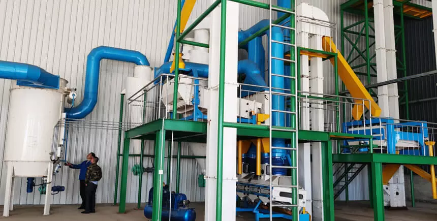 Soybean pretreatment