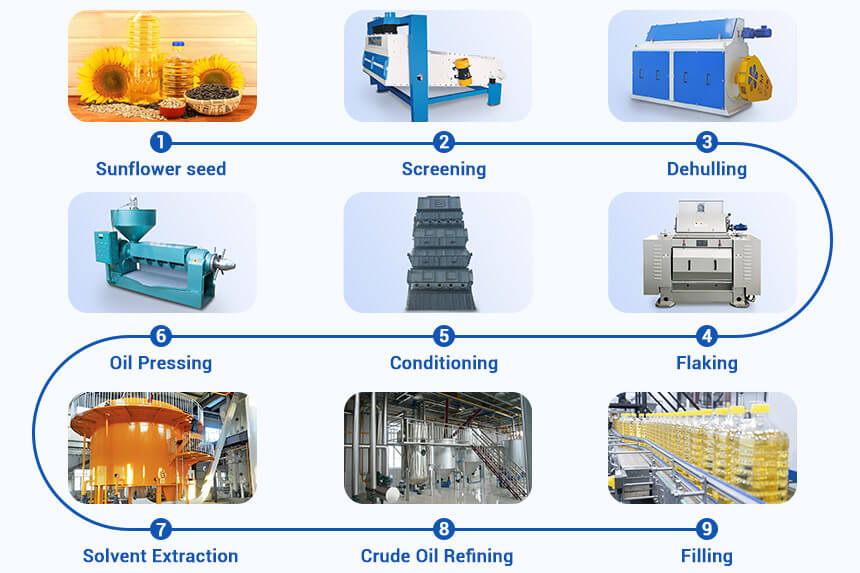 Sunflower Oil Processing Plant for Sale | Turnkey Project
