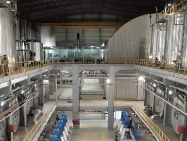 Beet Sugar Production