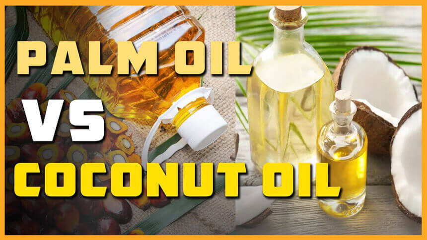 Palm fruit oil vs coconut oil