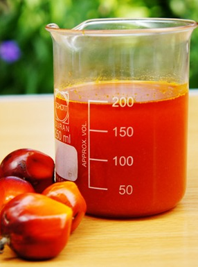 How to choose edible oil making method?