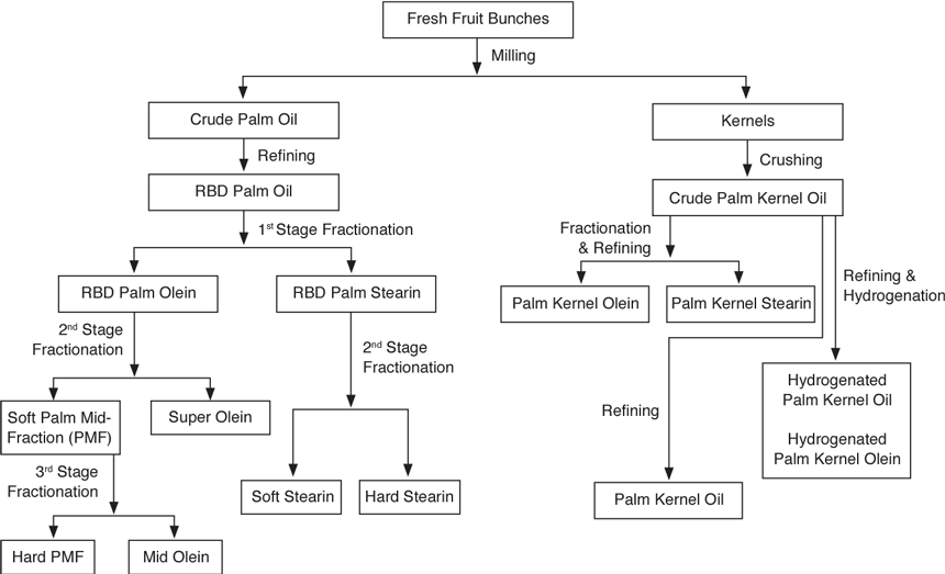 Henan Huatai palm kernel oil fractionation flow chart