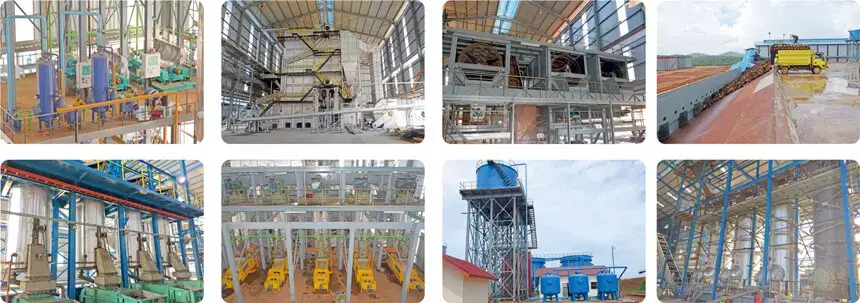 Palm oil processing steps