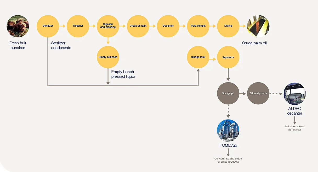 Palm oil production process flow chart