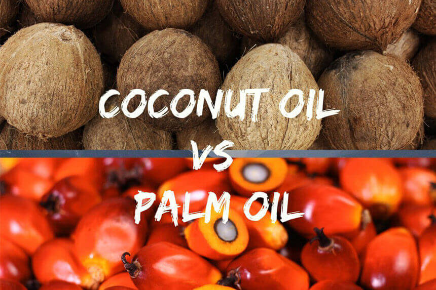 Palm Oil vs Coconut Oil: Which is Better?