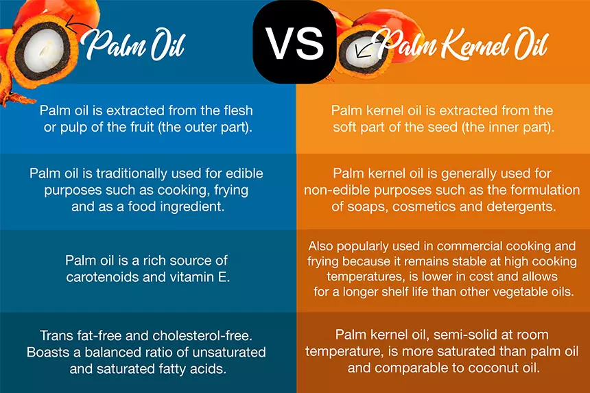 Palm Oil Vs Palm Kernel Oil | Comparison Guide